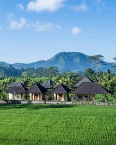 a villa with a green field and mountains in the background at Gongwi Cottages Sidemen in Sidemen