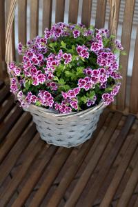 una cesta de flores sentada en un banco de madera en Casa Primavera, en Viareggio