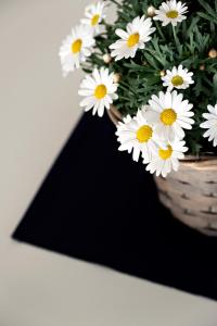 un ramo de flores blancas en un jarrón en Casa Primavera, en Viareggio