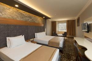 アンタルヤにあるギュルタシュ ホテルのベッド2台とテレビが備わるホテルルームです。