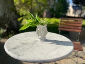 Zahrada ubytování Le Manoir de la Bigotière