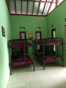 2 Etagenbetten in einem Zimmer mit grüner Wand in der Unterkunft Villa Ainun in Pasirmuncang 1