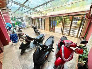 Fotografie z fotogalerie ubytování Nấm Home v destinaci Da Lat