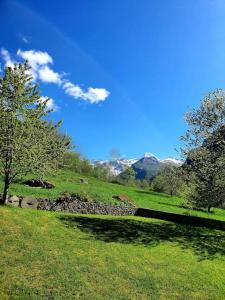 a grassy hill with trees and a stone wall at Maison authentique in Gavarnie +8 photos