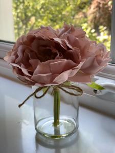 a pink rose in a vase on a window sill at George Canning Denmark Hill, London in London