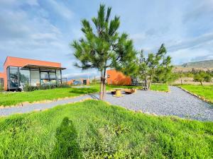 a house with a palm tree and a building at Glamping Desierto Santa María in Villa de Leyva