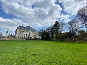 a large building in a field with a green field at Apartament przy Zamku in Pszczyna