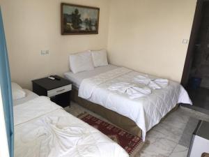 a room with two beds and a night stand with a bed sidx sidx at shah sultan Ozturk Hotel in Pamukkale