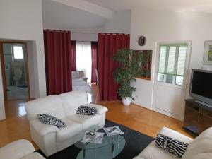 TV a/nebo společenská místnost v ubytování Apartment Jagoda