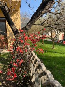 un banco con flores rojas junto a un árbol en Gubbio-Gualdo Tadino Incantevole mansarda con terrazza, en Gualdo Tadino
