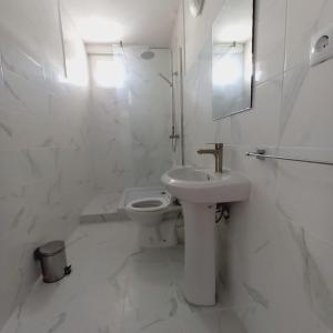 een witte badkamer met een wastafel en een toilet bij Casa Alexia in Pescari