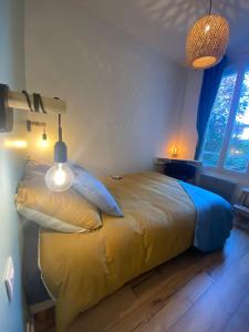 een slaapkamer met een bed met kussens en een raam bij Magnifique appartement T2 aux portes de Paris in Cachan