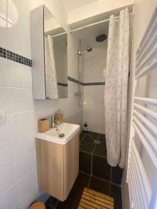 a bathroom with a sink and a shower with a mirror at Magnifique appartement T2 aux portes de Paris in Cachan +4 photos