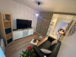 een woonkamer met een bank en een flatscreen-tv bij Magnifique appartement T2 aux portes de Paris in Cachan