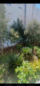 Vonkajšia záhrada v ubytovaní Apartment Diana Split Znjan