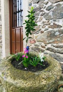 un jardín de flores en una roca frente a un edificio en PAZO DE CÍCERE, en Cícere