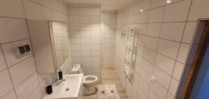 a white bathroom with a toilet and a sink at Casa Alex si Daiana in Orşova