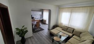 a living room with a couch and a table at Casa Alex si Daiana in Orşova