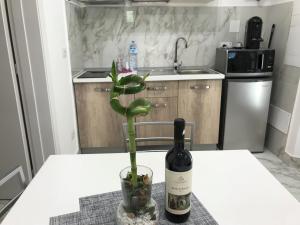 - une bouteille de vin et une plante sur une table dans l'établissement Elegante e spazioso bilocale in zona Certosa (FI), à Florence