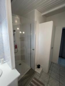 a white bathroom with a shower and a toilet at petite maison cosy avec exterieur in Marseille