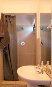 un bagno con lavandino e doccia di 17 HAWKES HEAD SELF CATERING a East London Altre 12 foto