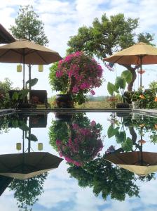 um reflexo de árvores e guarda-chuvas na água em The Quin Riverside Villa em Hoi An