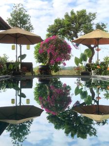 Hồ bơi trong/gần The Quin Riverside Villa