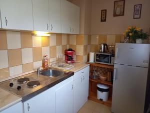 a kitchen with a sink and a white refrigerator at Zenit Apartman in Makó
