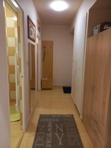 a room with a hallway with a rug on the floor at Zenit Apartman in Makó