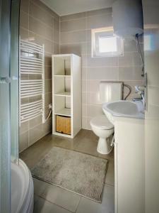 łazienka z toaletą i umywalką w obiekcie Casa Martinica - House with 2 Apartments w mieście Ližnjan