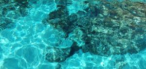 a close up of blue water in a pool at Il maestro di nodi - Casa vista mare in Lampedusa