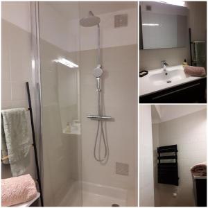 La salle de bains est pourvue d'une douche et d'un lavabo. dans l'établissement iSABELLE, à Vannes