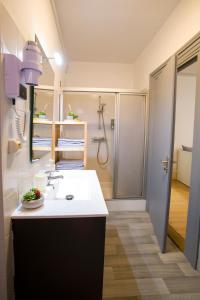 a bathroom with a sink and a shower at Chambres Chez Laurence in Kaysersberg