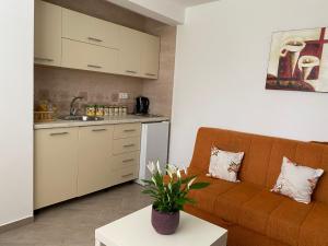 a living room with a couch and a kitchen at Dajkovic Apartmani in Bar