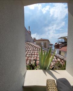 a view from a window of a roof at Skipper in Piran