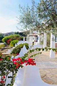 A garden outside Niriedes Villas