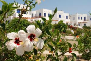 A garden outside Niriedes Villas