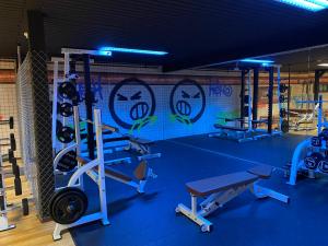 a gym with several tread machines and a wall at Fit-Relax Apartments Meersburg mit eigenem Sportstudio in Meersburg