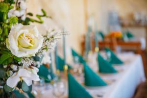 un tavolo con sedie verdi e una rosa bianca di Cabana Din Poienita a Poiana Brasov