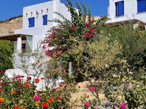 A garden outside Niriedes Villas