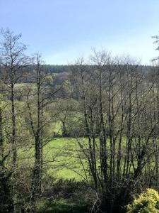 Gallery image of Coombe Cottage in Honiton