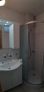 La salle de bains est pourvue d'une douche et d'un lavabo. dans l'établissement APARTMAN PAVE & ILIJA jr, à Lopar