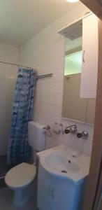 a bathroom with a white toilet and a sink at APARTMAN PAVE & ILIJA jr in Lopar