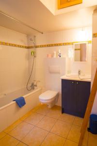 łazienka z toaletą i umywalką w obiekcie Les Bains de Rosheim w mieście Rosheim