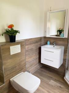 een badkamer met een toilet, een wastafel en een spiegel bij FEWO Mein Panama in Bernkastel-Kues