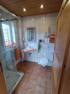 a bathroom with a toilet and a sink and a shower at FEWO Borchert in Cuxhaven