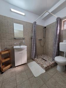 uma casa de banho com um chuveiro, um lavatório e um WC. em Vila Sophia em Vama Veche