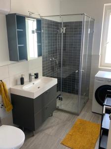 a bathroom with a sink and a glass shower at New Home Guest House in Gödöllő