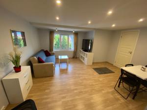 Sukkertoppen Apartment في أوليسوند: غرفة معيشة مع أريكة زرقاء وتلفزيون