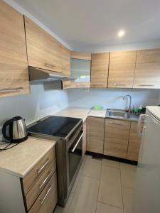 Η κουζίνα ή μικρή κουζίνα στο Sukkertoppen Apartment